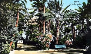 BISKRA - JARDIN LANDON - ALLEE